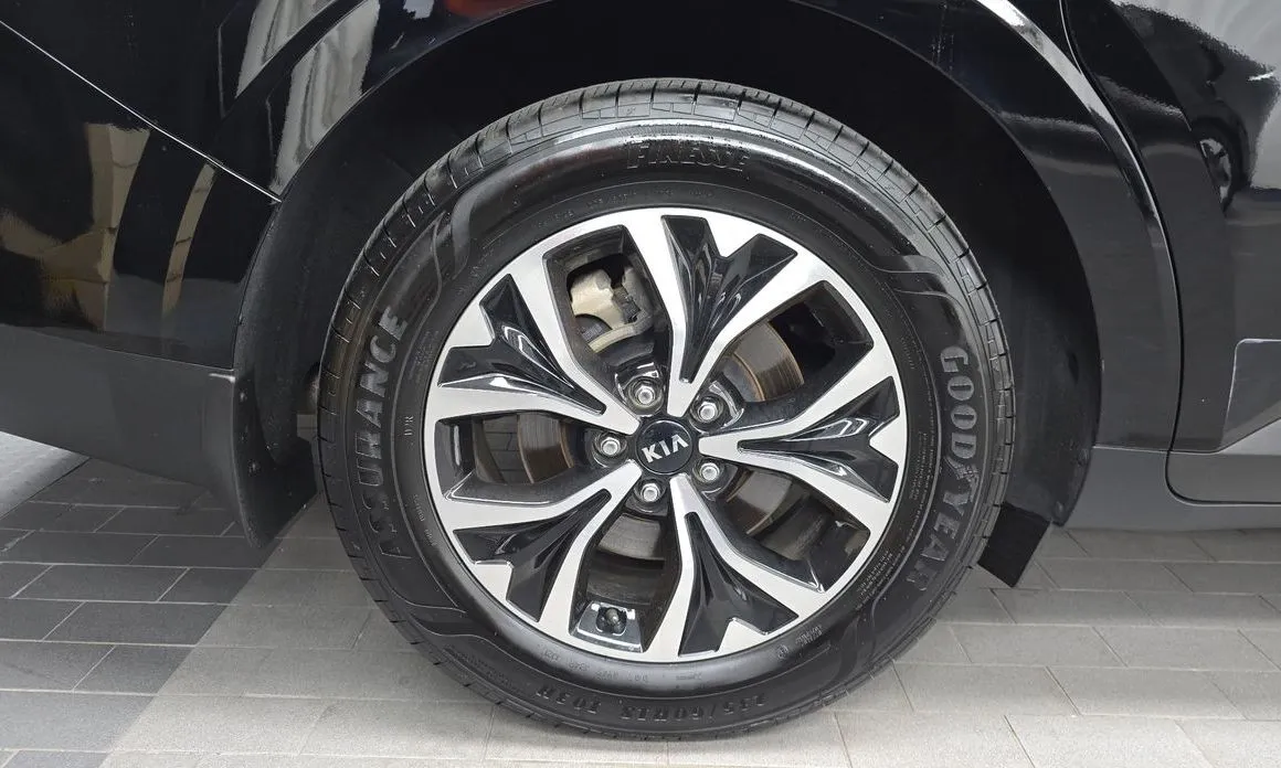 Kia Carnival — фото 10
