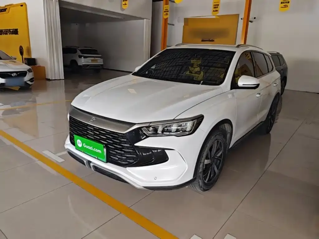 BYD Pro New Energy — фото 1