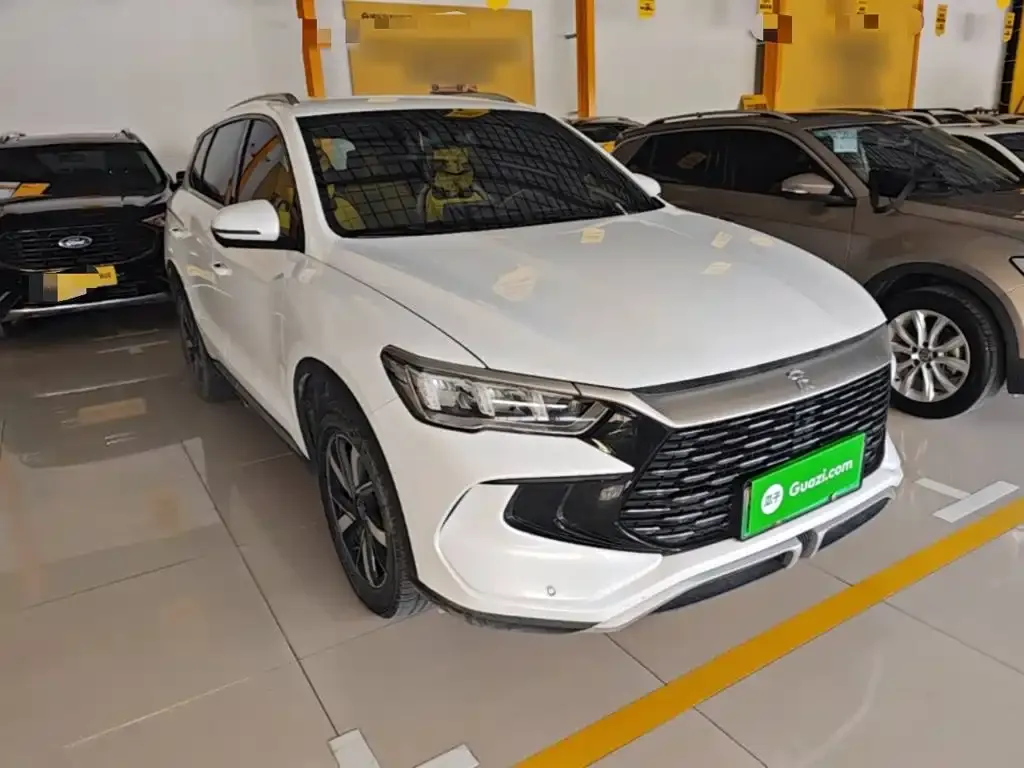 BYD Pro New Energy — фото 6