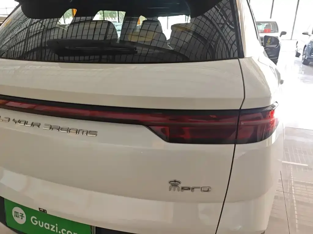 BYD Pro New Energy — фото 8