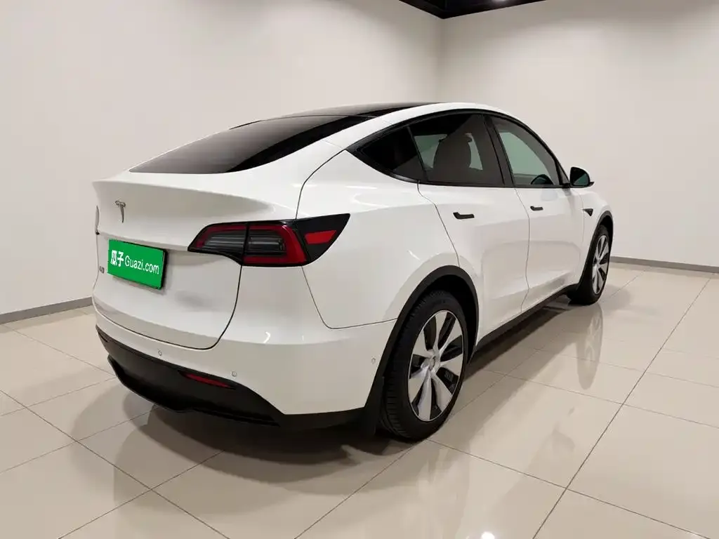 Tesla Model Y — фото 5