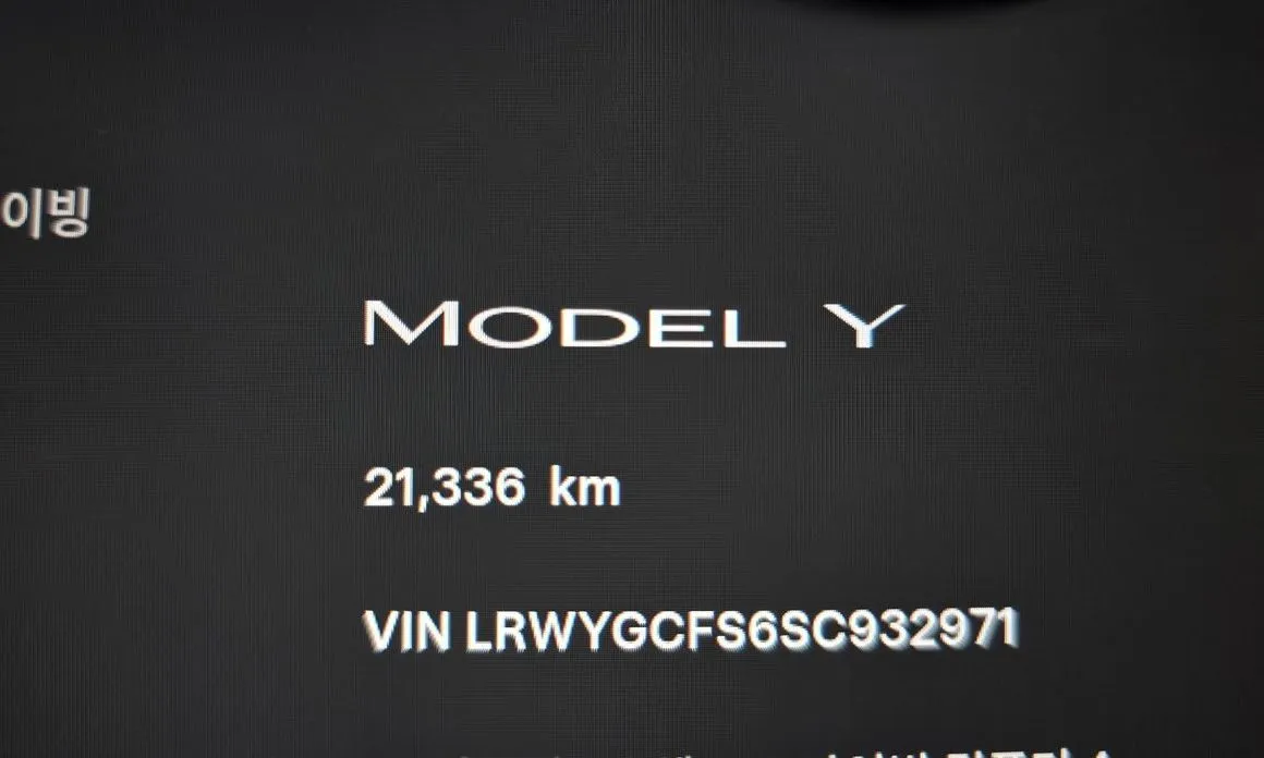 Tesla Model Y — фото 2