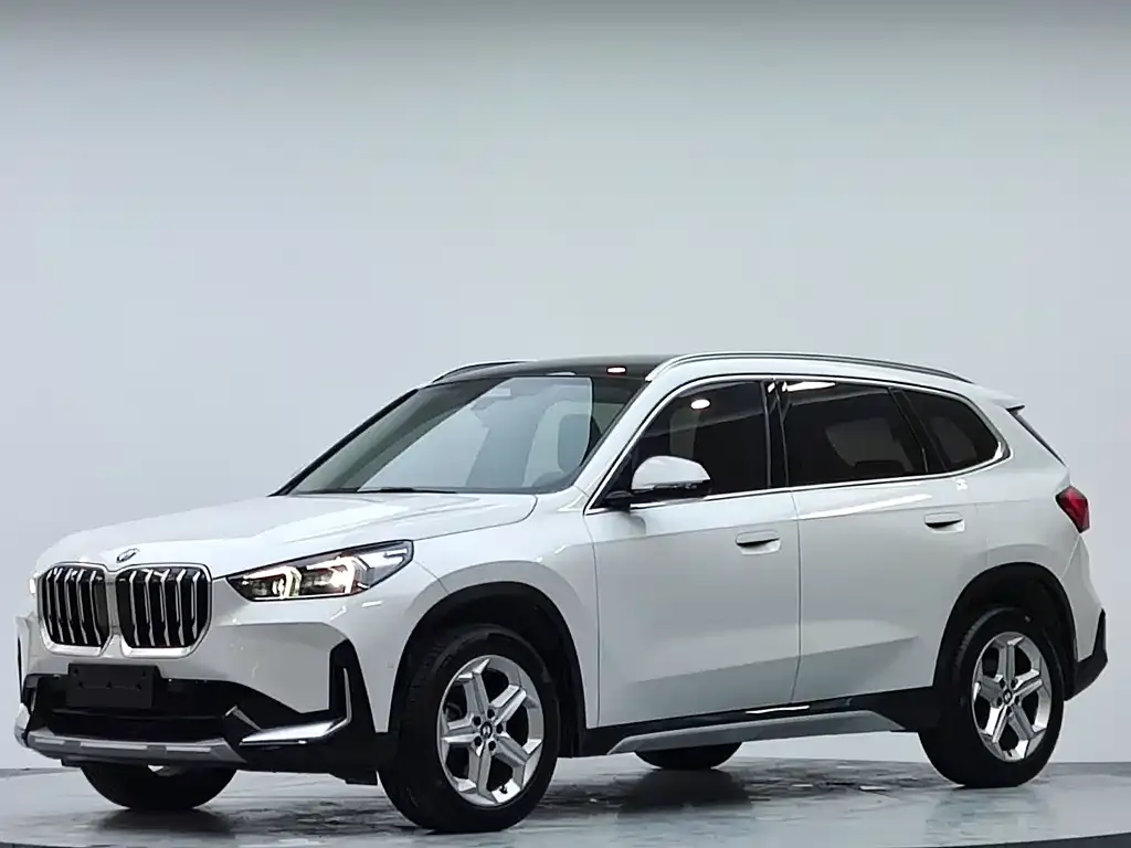 BMW X1 — фото 1
