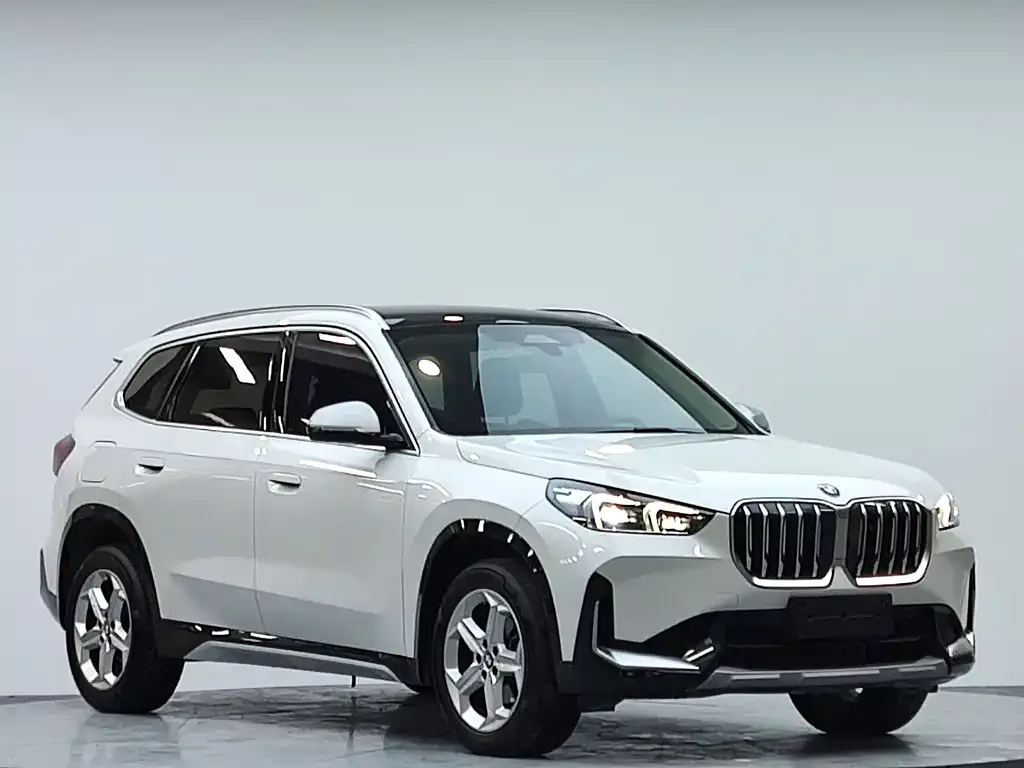 BMW X1 — фото 10