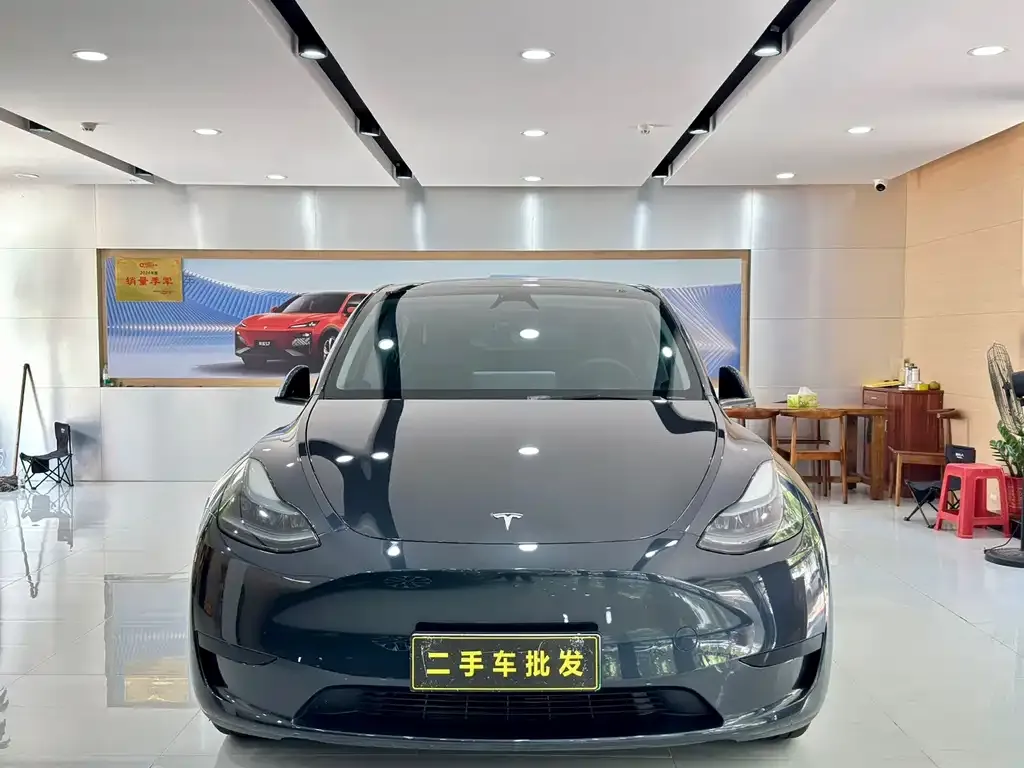 Tesla Model Y — фото 3
