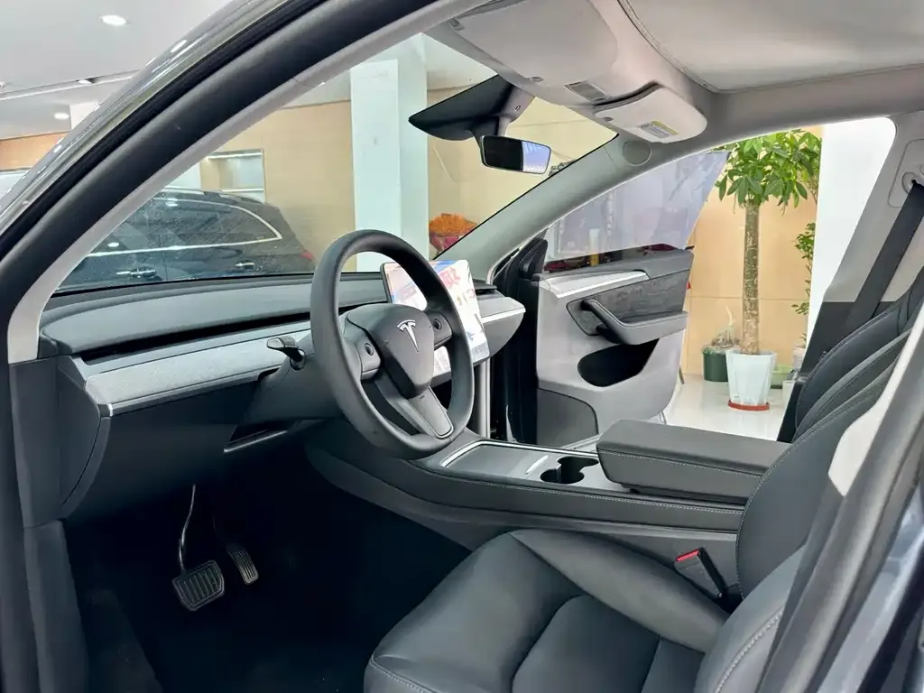 Tesla Model Y — фото 2