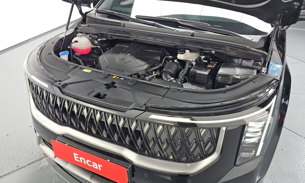 Kia Carnival — фото 10