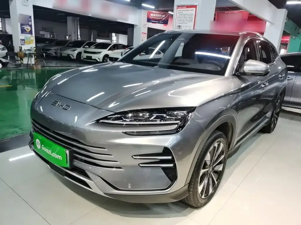 BYD PLUS New Energy — фото 1