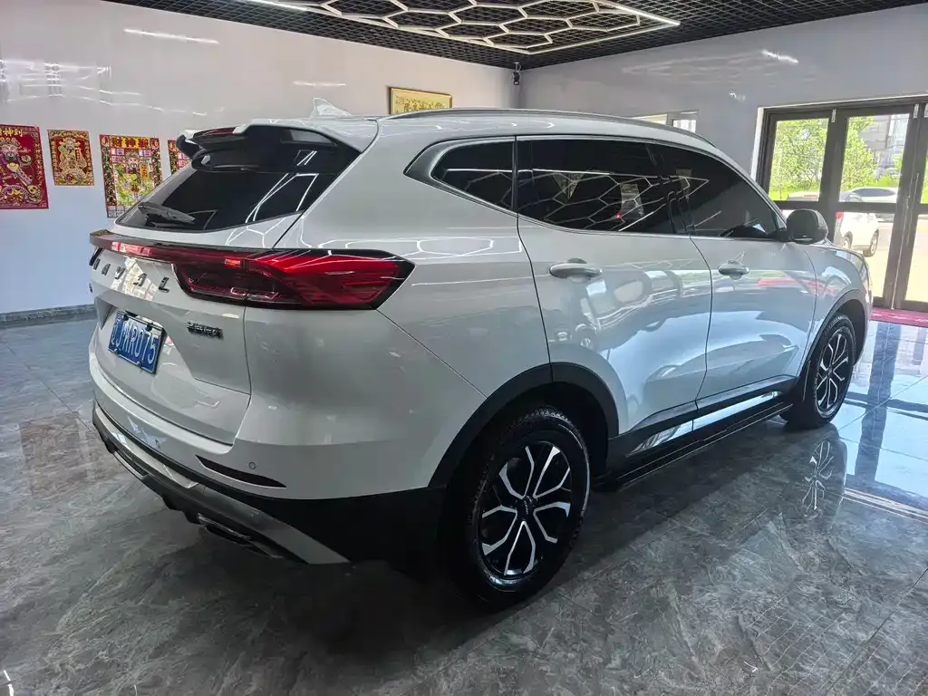 Haval H6 — фото 5