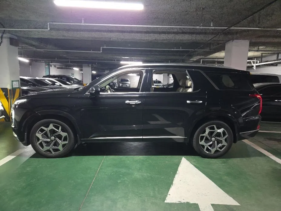 Hyundai Palisade — фото 8