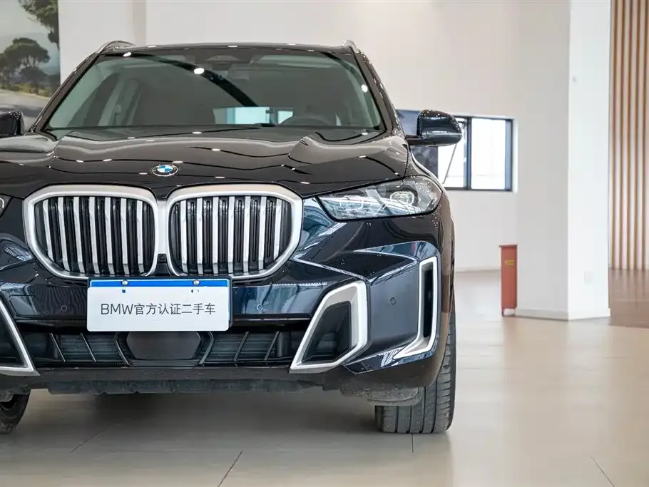 BMW X5 — фото 10