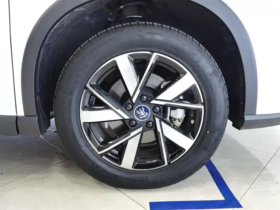 BYD Pro New Energy — фото 9