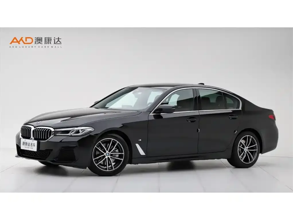 BMW 5 Series (Import) — фото 1