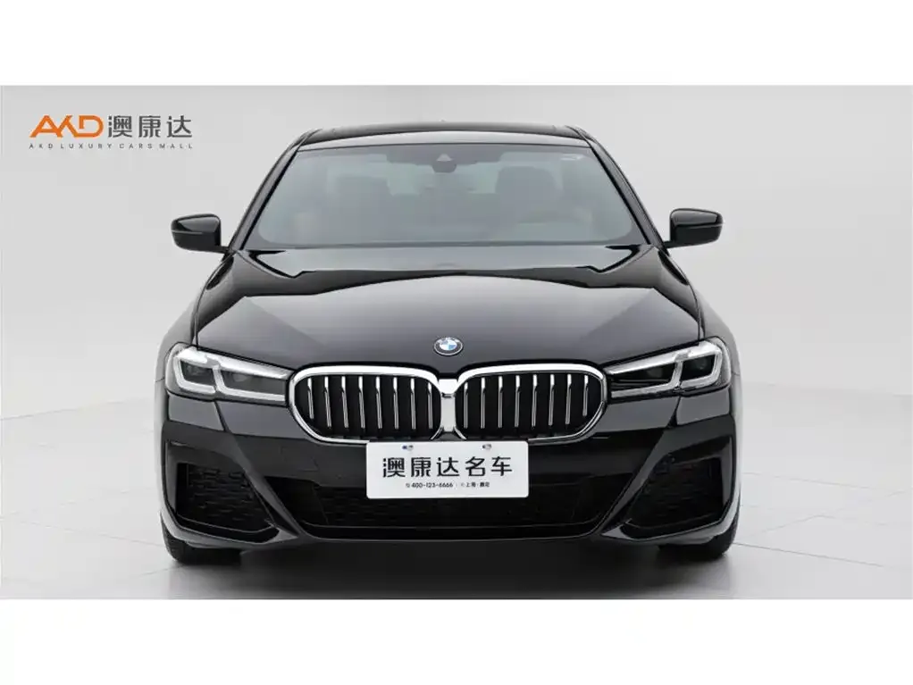 BMW 5 Series (Import) — фото 8