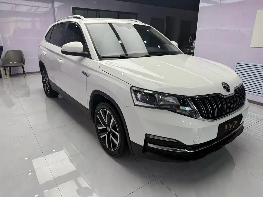 Skoda Kamiq — фото 9