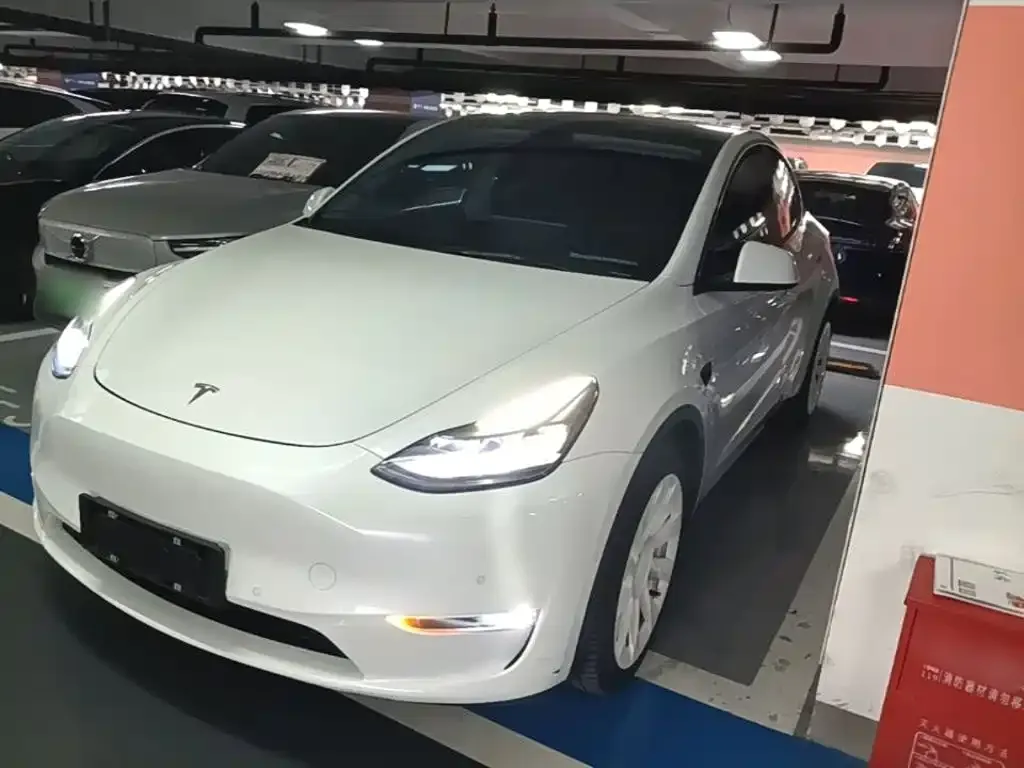 Tesla Model Y — фото 1