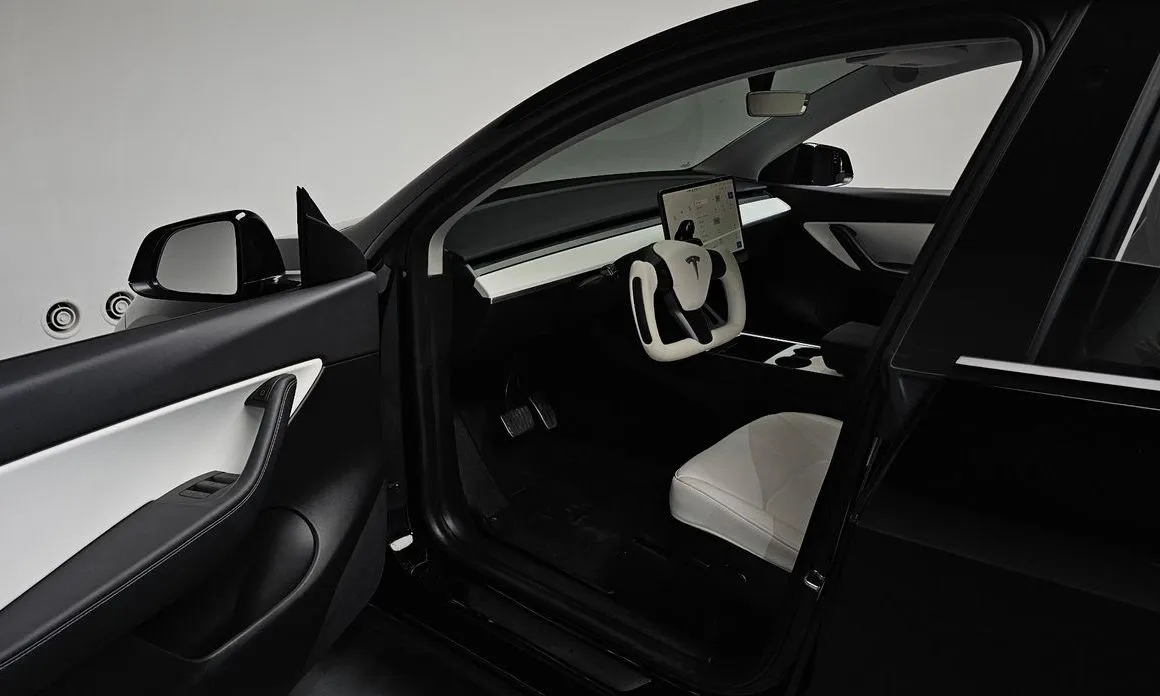 Tesla Model Y — фото 2