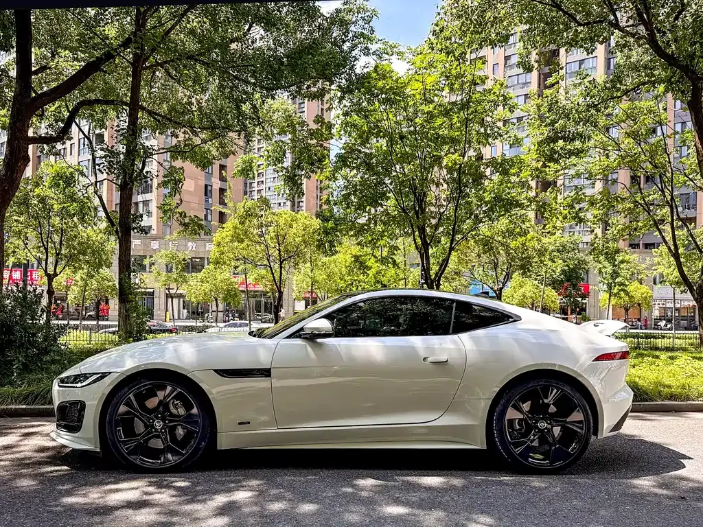 Jaguar F-TYPE — фото 10