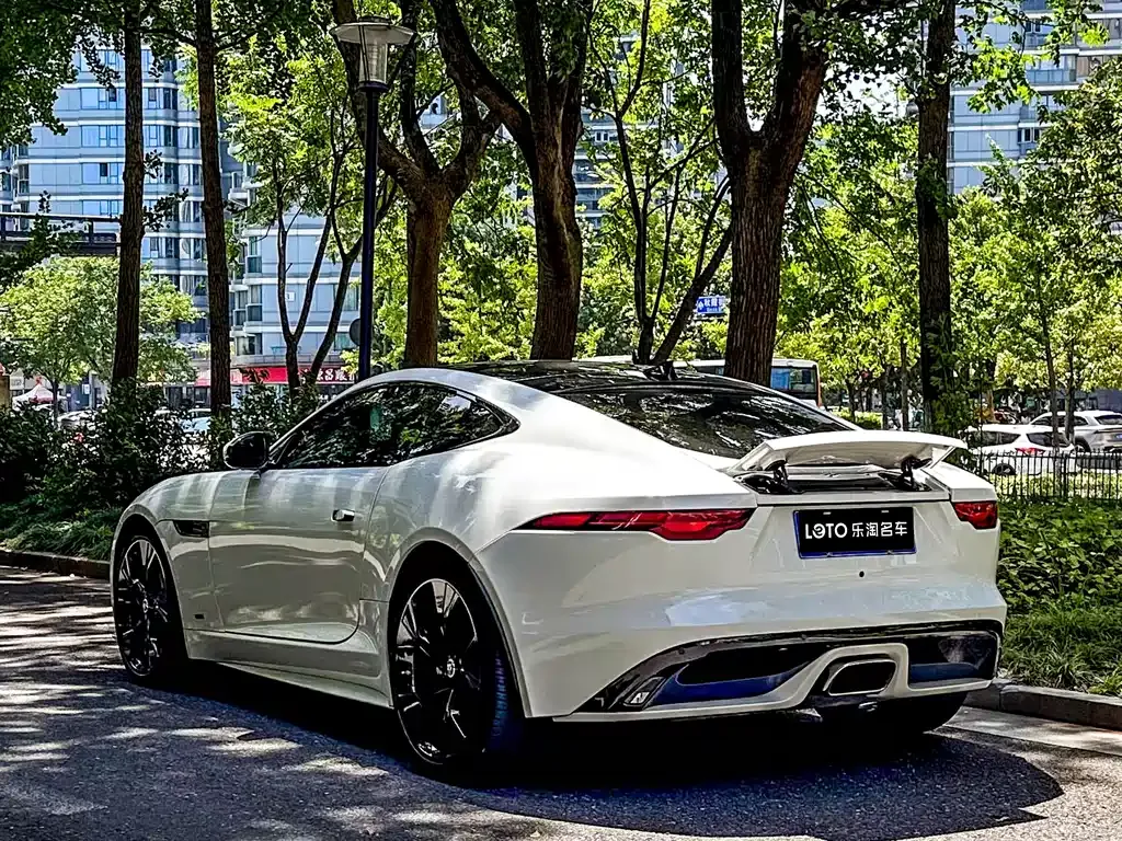 Jaguar F-TYPE — фото 8