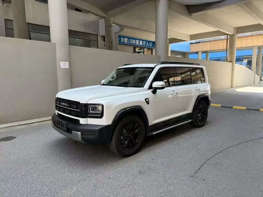 Haval Menglong New Energy — фото 1