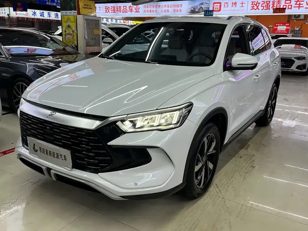 BYD Pro New Energy — фото 1