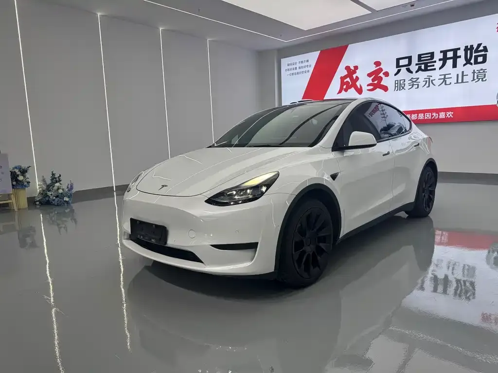 Tesla Model Y — фото 1