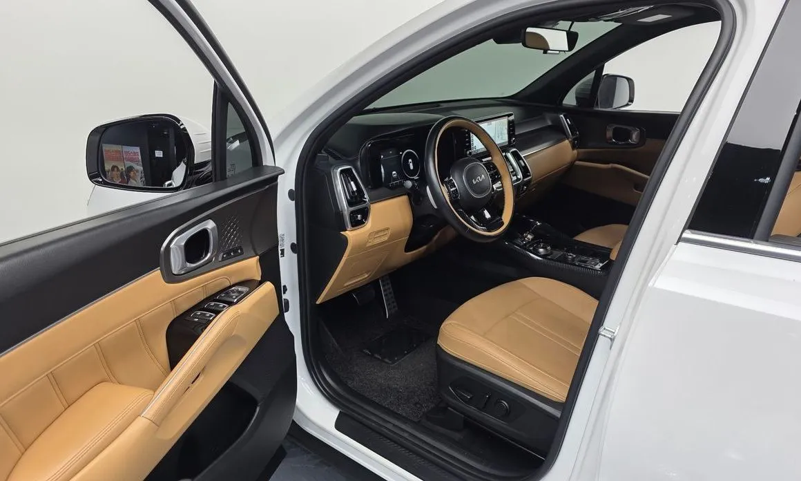 Kia Sorento — фото 10