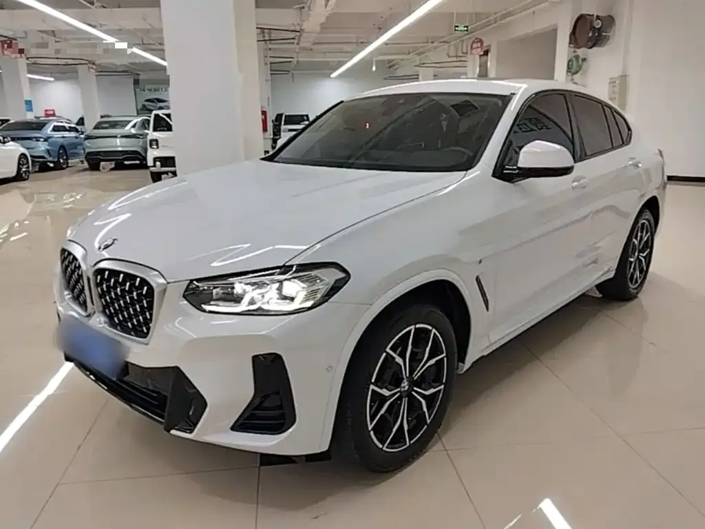 BMW X4 — фото 9