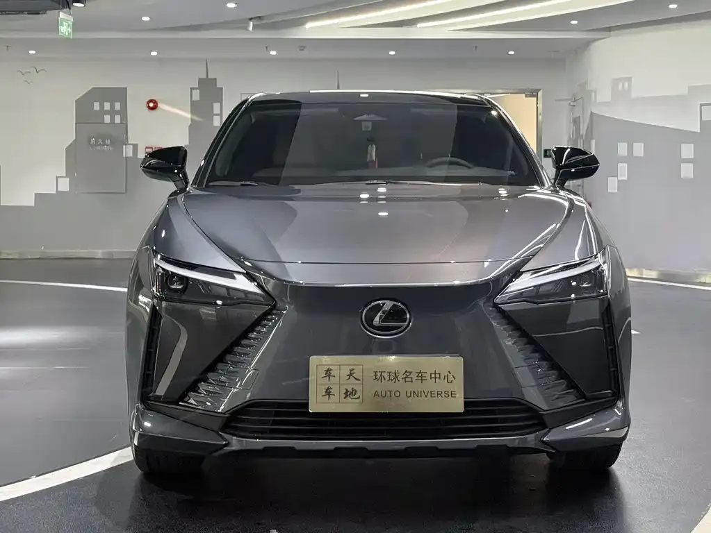 Lexus RZ — фото 8