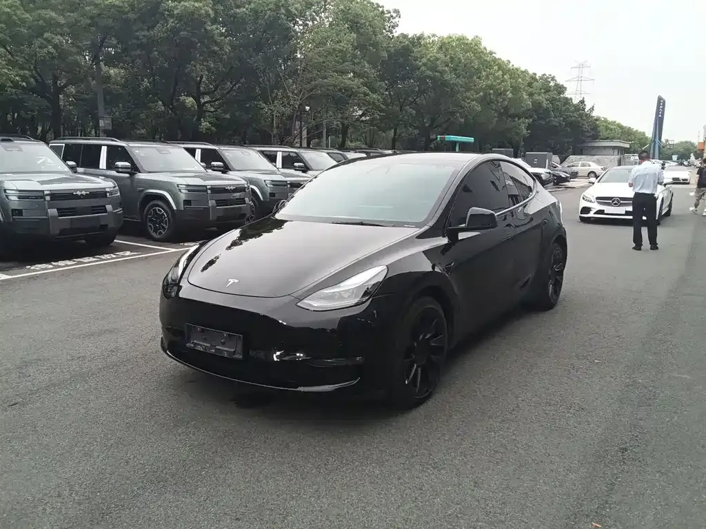 Tesla Model Y — фото 1