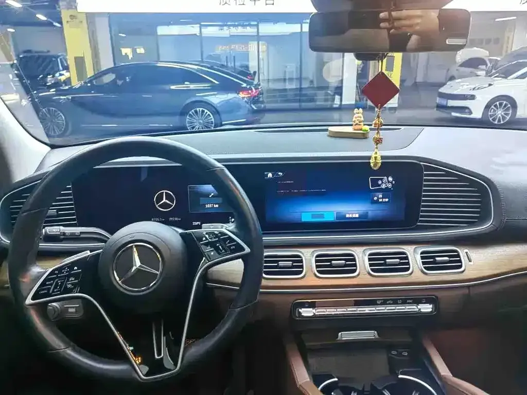 Mercedes-Benz 奔驰GLE(进口) — фото 6
