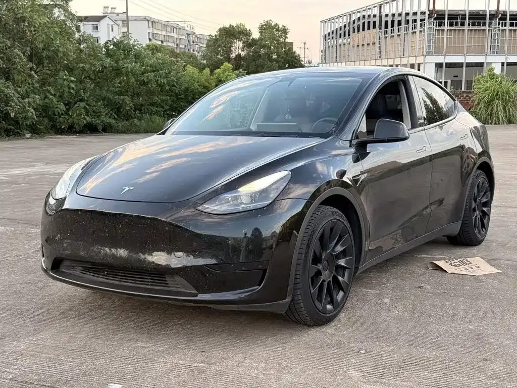 Tesla Model Y — фото 10
