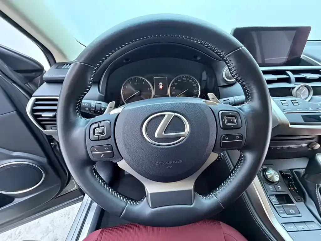 Lexus NX — фото 6