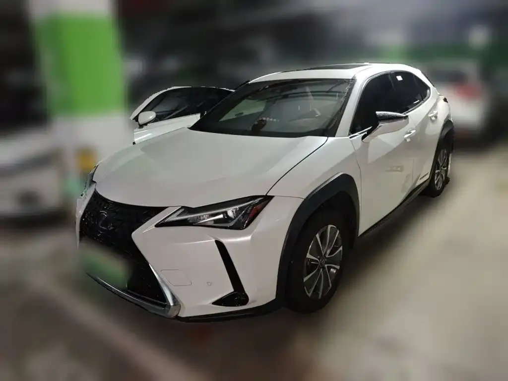 Lexus UX New Energy — фото 1