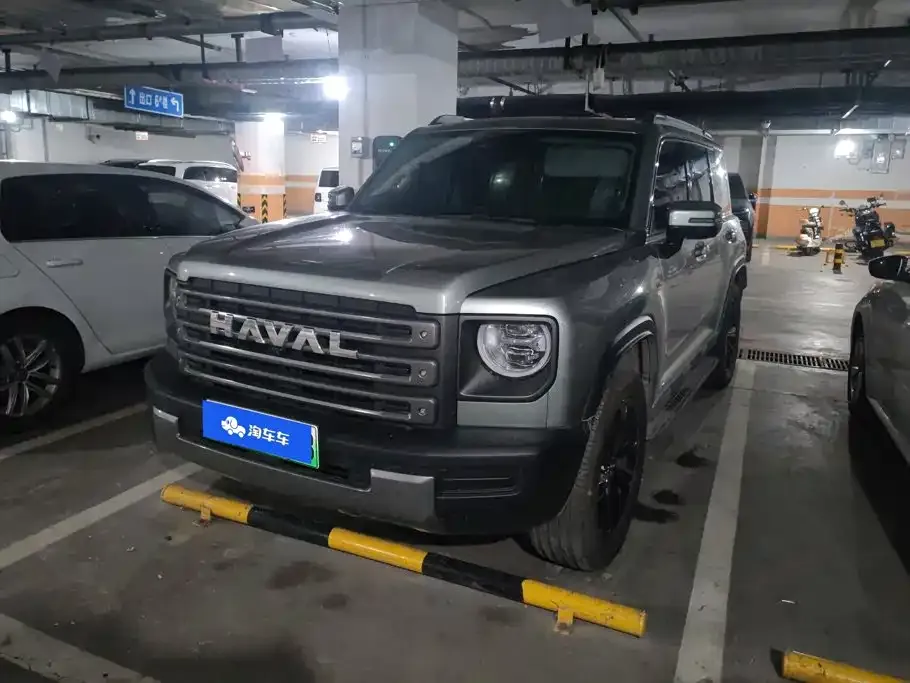 Haval Menglong New Energy — фото 1