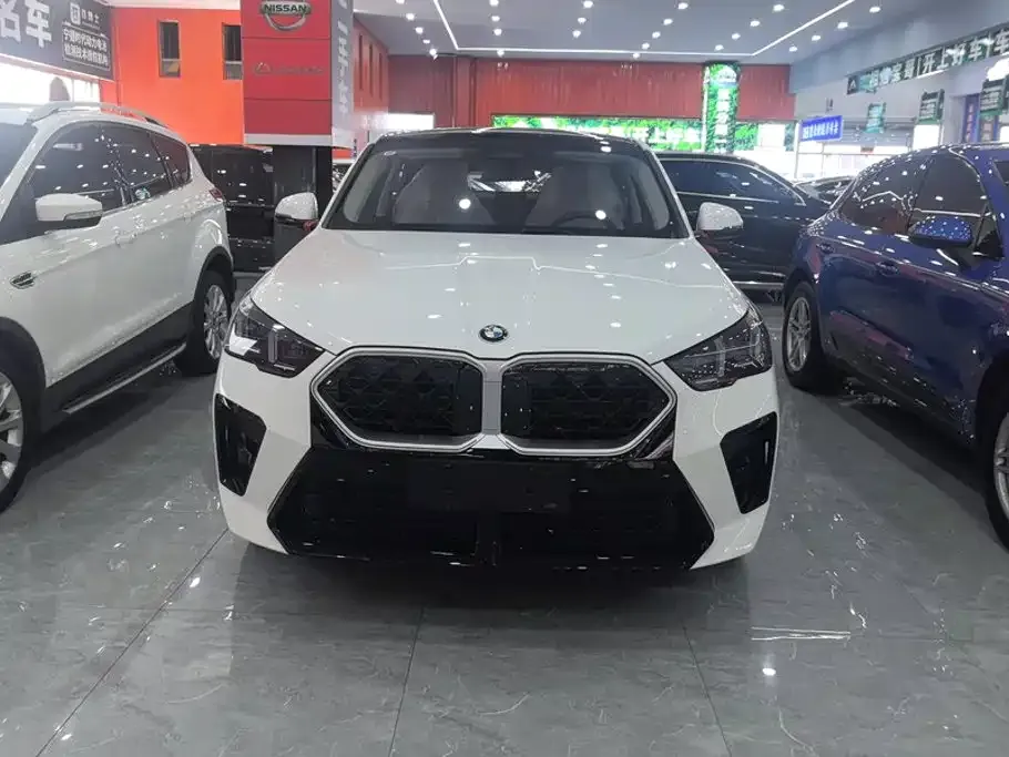 BMW X2 (Import) — фото 8