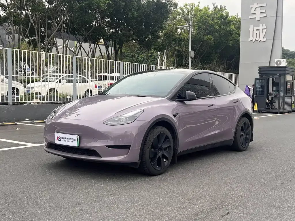 Tesla Model Y — фото 1