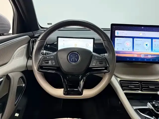 BYD Pro New Energy — фото 6
