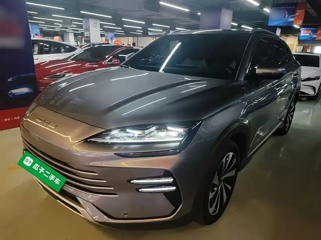 BYD PLUS New Energy — фото 1