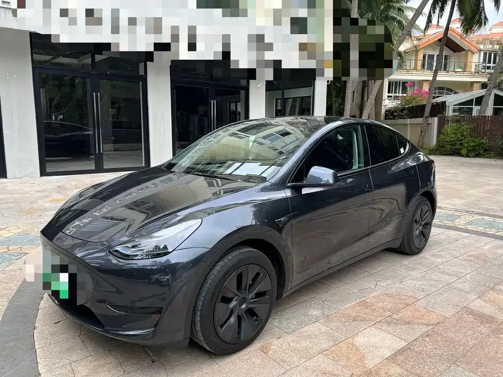Tesla Model Y — фото 1