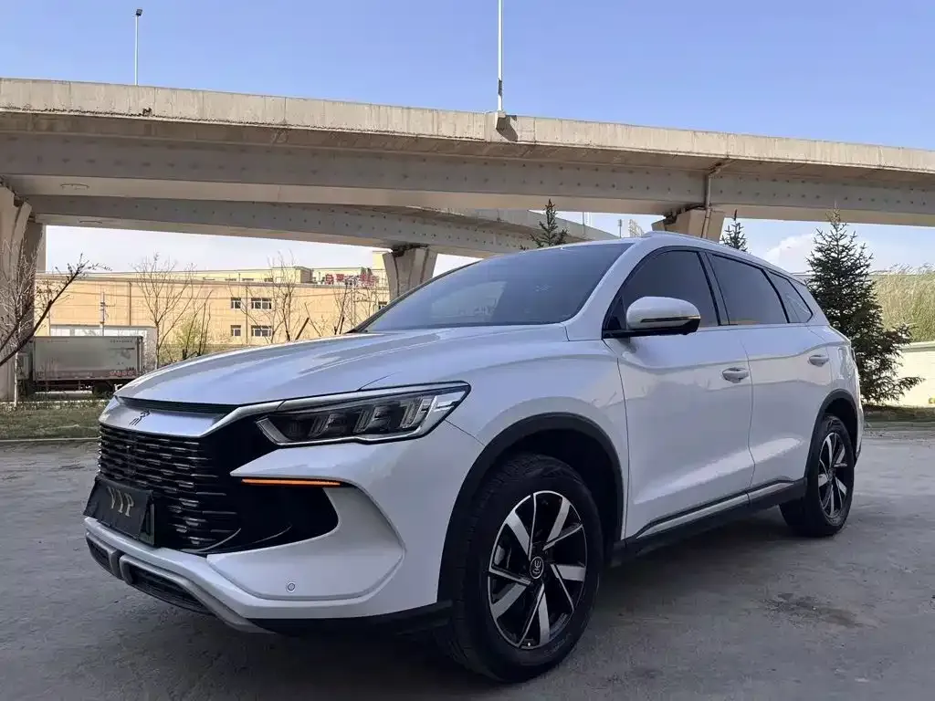 BYD Pro New Energy — фото 1