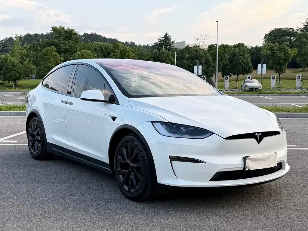 Tesla Model X — фото 8