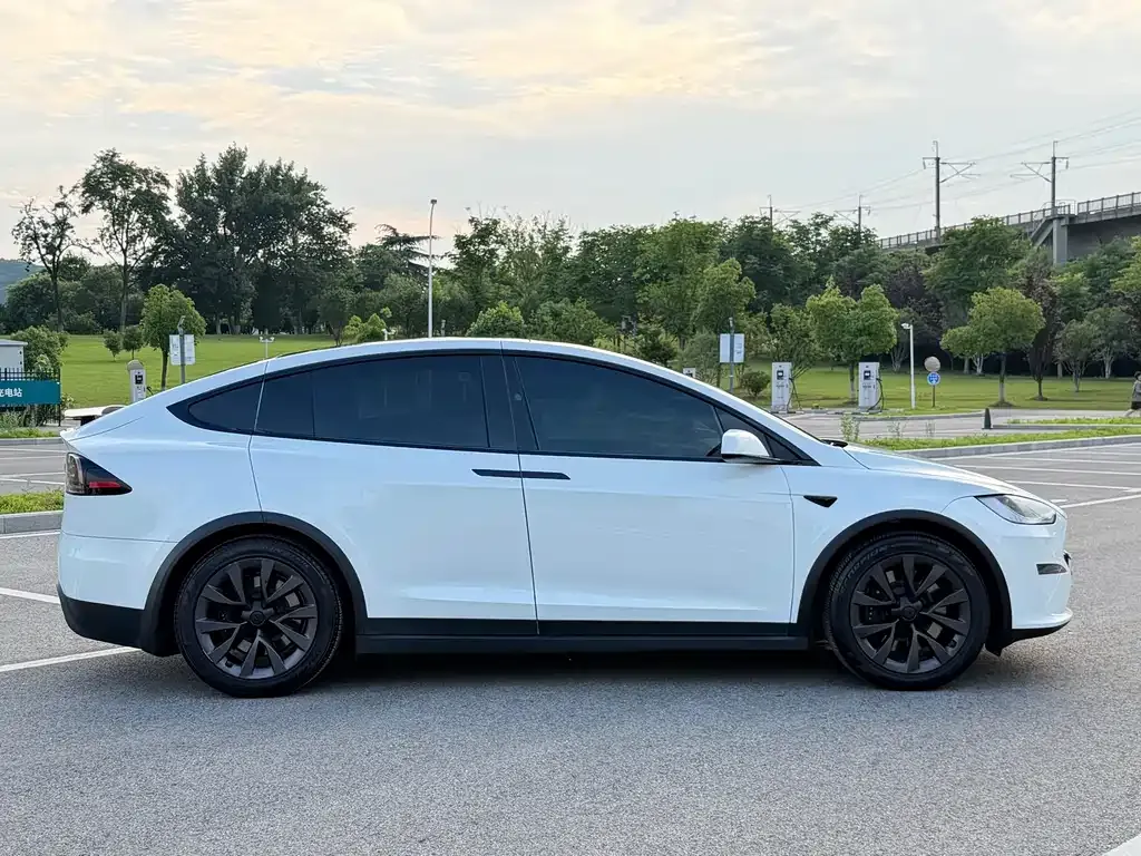 Tesla Model X — фото 7