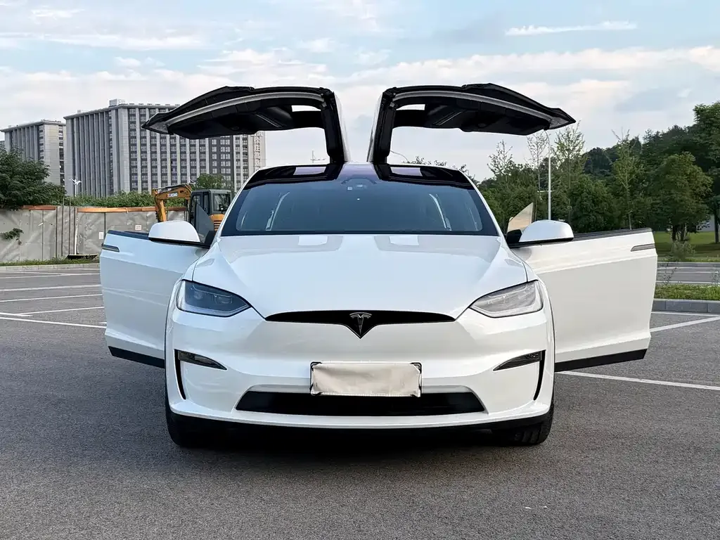Tesla Model X — фото 5