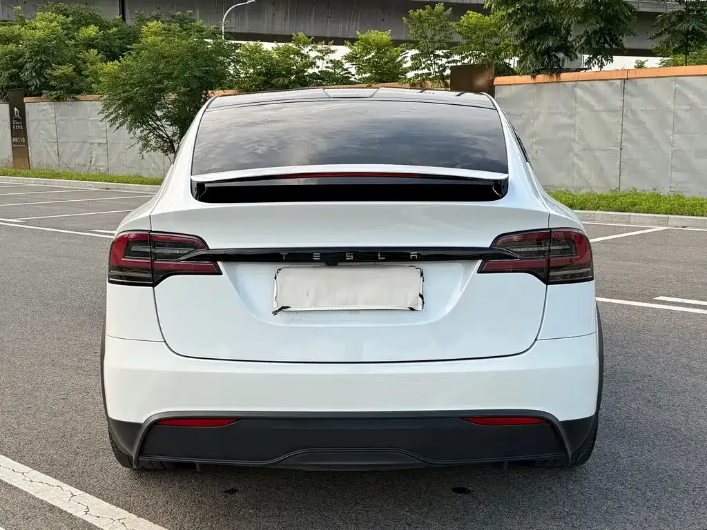 Tesla Model X — фото 10