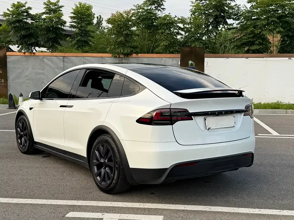 Tesla Model X — фото 9