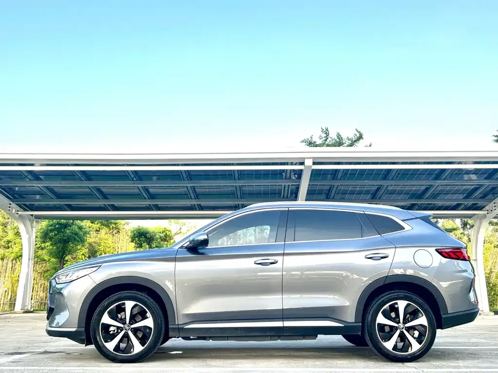BYD PLUS New Energy — фото 2