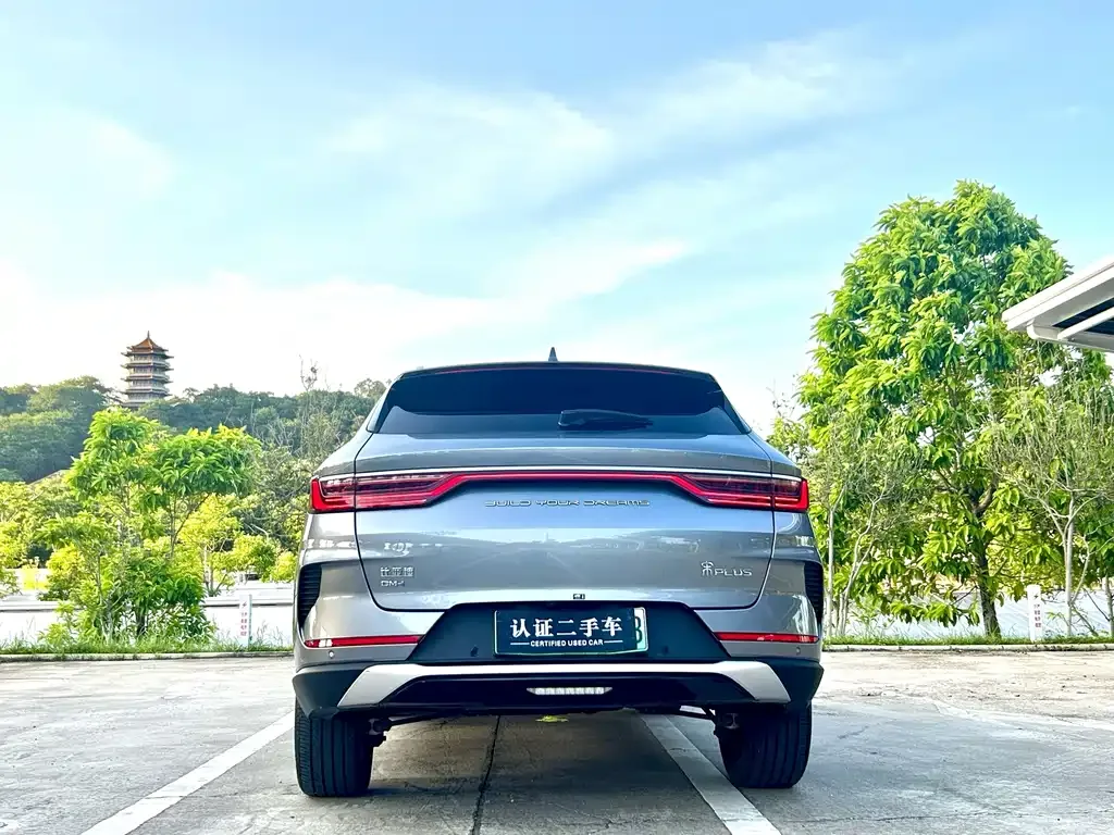 BYD PLUS New Energy — фото 10