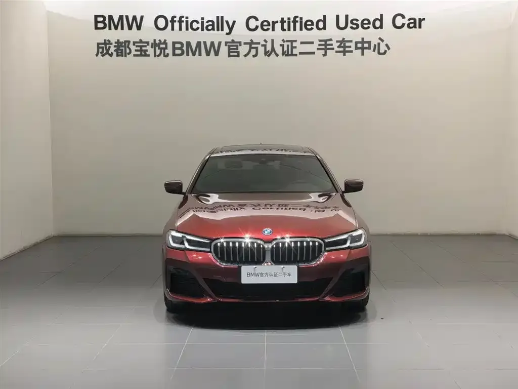 BMW 5 Series New Energy — фото 6