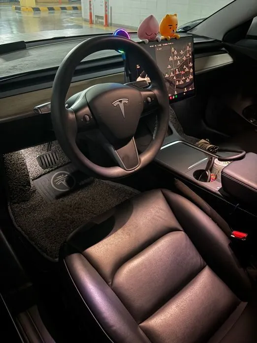 Tesla Model 3 — фото 2